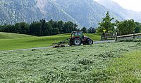 Being Organic in EU